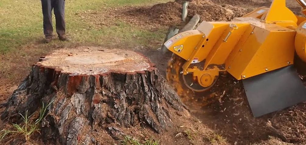 Stump Grinding & Root Removal - A&A's Tree Service