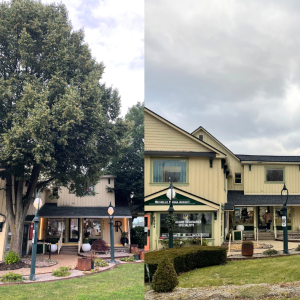 Hair Reformation before & after